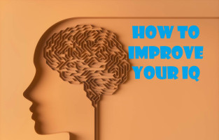 Discover 8 science-backed ways to improve your IQ, from memory training to music lessons. Boost your brain power with proven, everyday habits.