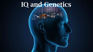 Explore how genes and environment shape IQ. Learn what heritability really means, what genetics explains, and why intelligence isn’t fixed at birth.