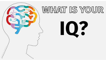 IQ is one of the key indicators used to measure someone’s intelligence. Understanding how to test IQ has a huge impact on every aspect of life.