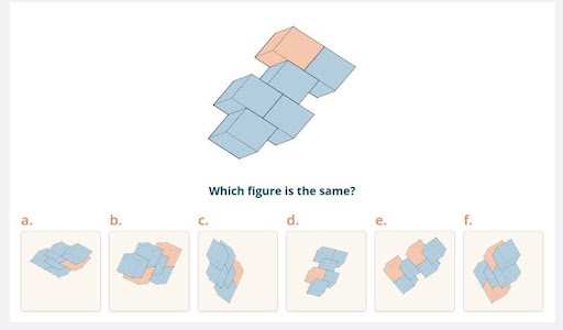 spatial reasoning questions are also included in IQ tests