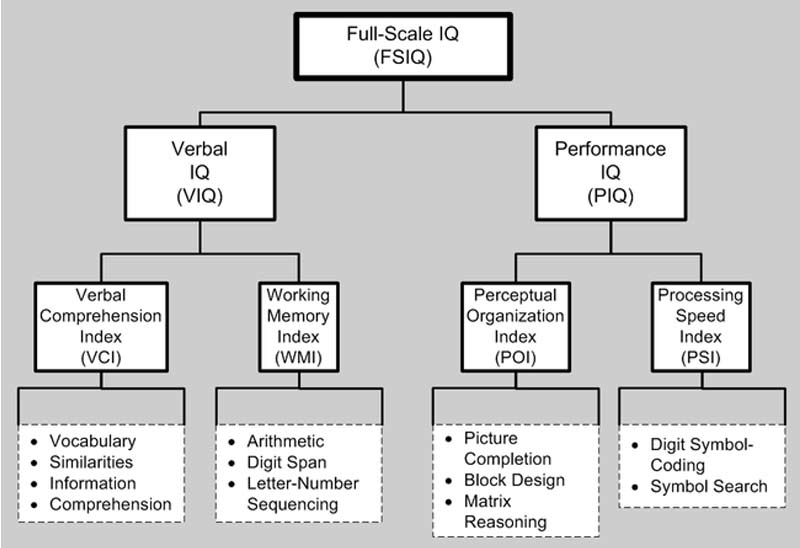 The Wechsler Adult Intelligence Scale (WAIS) is a widely used cognitive assessment tool for adults, measuring various aspects of intelligence through a standardized test.